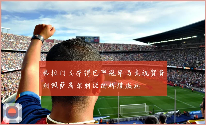 弗拉门戈夺得巴甲冠军马竞祝贺费利佩萨乌尔利诺的辉煌成就