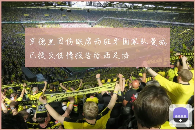 罗德里因伤缺席西班牙国家队曼城已提交伤情报告给西足协